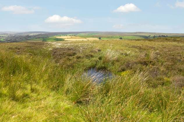 North York Moors Nationalpark in Nordengland, Grossbritannien, England, York Moors Nationalpark North York Moors National Park in Northwern England, United Kingdom, England, York Moors National Park BLWS668416 *** North York Moors National Park in north england, Great Britain, England, York Moors National Park North York Moors National Park in Northwern England, United kingdom, England, York Moors National Park BLWS668416 Copyright: xblickwinkel McPHOTO O.xProtzex