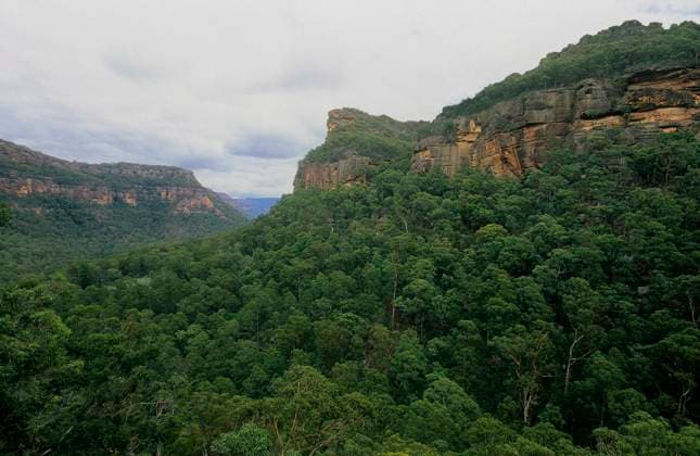 IMAGO Nature: Unsere Erde, Umweltverträgliche Herausforderungen des 21. Jahrhunderts, Regenwald Wolgan River Valley, Wollemi National Park, Shark Bay UNESCO Natural World Heritage Site, New South Wales, Australia.  1576218 JirixLochman