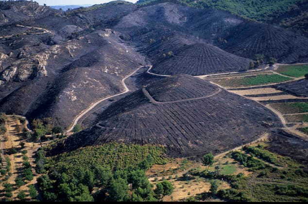 IMAGO Nature: Unsere Erde, Klimawandel, Waldbrände View of extensive area burnt by fire, Plateau de l Arbois, Aix-en-Provence, France. September 2003.  1587377 JeanxE.xRoche