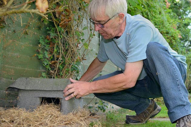 IMAGO Creative: Jahreszeit Herbst, Igel beziehen Winterquartier Home-made Hedgehog house positioned in a suburban garden along with straw bedding by home-owner, Chippenham, Wiltshire, UK, August. Model released.  1588602 NickxUpton