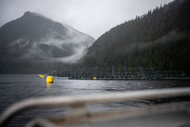 IMAGO Creative, Unsere Erde, Umweltverträgliche Herausforderungen des 21. Jahrhunderts, Überfischung June 21, 2022, Vancouver, British Columbia, Canada: A Mowi Canada West salmon farm site sits off the coast of Vancouver Island near Port McNeill, B.C. June 21. The industry is awaiting a Government of Canada decision on whether to renew licenses on the province s 79 remaining open net-pen salmon farms over concerns of their impact on threatened wild salmon populations. The B.C. Salmon Farmers Association says the closure of the industry will eliminate thousands of jobs Vancouver Canada - ZUMAb217 20220621_zip_b217_005 Copyright: xQuinnxBenderx