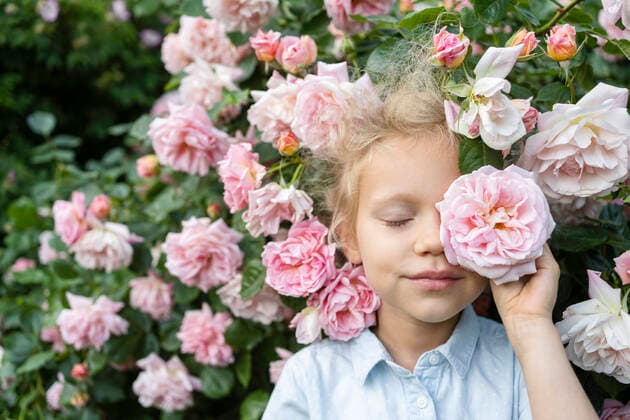 Creative Highlights Symbolbilder Girl holding rose flower in front of eye at rose garden model released, Symbolfoto, SVKF00247