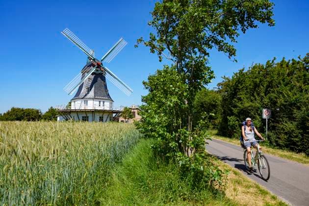 Woman on a bicycle passing traditional wind mill beautiful rose gardens in Borgsum near Nieblum village on Juni 23, 2022 in Wyk, Foehr Island, Germany.