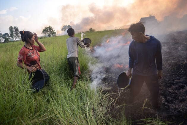 IMAGO Nature: Unsere Erde, Klimawandel, Waldbrände Peat Fire In Ogan Ilir, South Sumatra Province Residents try to extinguish a peatland fire that occurred in Arisan Jaya Village, Ogan Ilir Regency, South Sumatra Province, Tuesday 28 June 2022 using simple tools. Forest and land fires occur almost every year in South Sumatra Province. Ogan Ilir, South Sumatra Indonesia  Copyright: xSigitxPrasetyax originalFilename: prasetya-notitle220628_npVnl.jpg