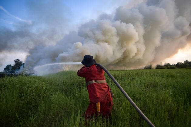 IMAGO Nature: Unsere Erde, Klimawandel, Waldbrände Peat Fire In Ogan Ilir, South Sumatra Province Manggala Agni personnel are extinguishing peatland fires that occurred in Arisan Jaya Village, Ogan Ilir Regency, South Sumatra Province, Tuesday, 28 June 2022. Forest and land fires occur almost every year in South Sumatra Province. Ogan Ilir, South Sumatra Indonesia  Copyright: xSigitxPrasetyax originalFilename: prasetya-notitle220628_npzTK.jpg