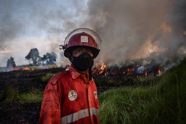 IMAGO Nature: Unsere Erde, Energiequellen, Torf Peat Fire In Ogan Ilir, South Sumatra Province Manggala Agni personnel are extinguishing peatland fires that occurred in Arisan Jaya Village, Ogan Ilir Regency, South Sumatra Province, Tuesday, 28 June 2022. Forest and land fires occur almost every year in South Sumatra Province. Ogan Ilir, South Sumatra Indonesia  Copyright: xSigitxPrasetyax originalFilename: prasetya-notitle220628_npzYa.jpg