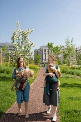 IMAGO Creative: Sommer, Sommertage im Stadtpark Full length of smiling Caucasian mothers carrying their babies in slings at park on sunny day, Model released LiliyaSolopova_MumsWithBabiesOutdoors_00016.jpg Copyright: xLiliyaxSolopovax MR