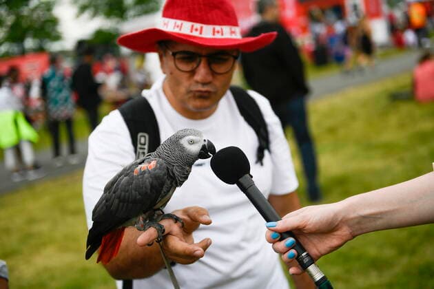 July 1, 2022, Ottawa, ON, CAN: Furkan Khan gets Jasper, his African Grey Congo Parrot, to give a TV reporteröÄÃ s microphone a kiss during an interview, as they wait for the start of Canada Day celebrations at Lebreton Flats in Ottawa, on Friday, July 1, 2022. Ottawa CAN - ZUMAc35_ 20220701_zaf_c35_028 Copyright: xJustinxTangx