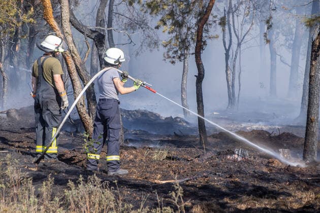 News Themen der Woche KW26 News Bilder des Tages News ID: EN 22-07-03-02 220703WaldbrandGohirschheide Erneut Waldbrand in Gohrischheide Die Kameraden der Feuerwehren rund um der Gohrischer Heide kommen einfach nicht zur Ruhe. Am Sonntagnachmittag gegen 16:30 brach in der Gohrischerheide erneut ein Brand aus. Diesmal brannte es am Waldrand im Nordosten des großen Waldes. Seit zwei Wochen sind die Kameraden im Dauerreinsatz. Diesmal brannten laut dem Einsatzleiter Marco Bretschneider von der Feuerwehr Zeitnhain an die 4000 qm2 Waldfläche. Umgehend rückten zahlreiche Kameraden mit mehreren Tanklöschfahrzeugen an. Auch umliegende Bauern unterstützten die Kameraden mit Wasser. Auch ein Großtanklöschfahrzeug kam zum Einsatz. Unterstützung erhielten die Kameraden auch aus dem benachbar