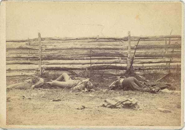 View in the Field, On the West Side of the Hagerstown Road, After the Battle of Antietam, Maryland, September 1862 1862 Alexander Gardner American, Scottish. View in the Field, On the West Side of the Hagerstown Road, After the Battle of Antietam, Maryland, September 1862 259605 Copyright: xpiemagsx Metbot-132666