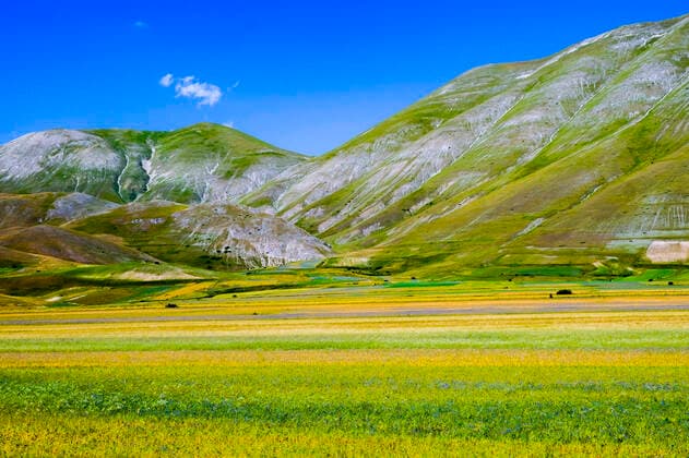 IMAGO Nature: Unsere Erde, Klimawandel, Ernährung, Pflanzen der Zukunft, Linse Italy: Flowering 2022 castelluccio di norcia the high temperatures conditioned the flowering of the lentil plants in the plain of castelluccio di norcia, which usually reach the peak of flowering in the first week of July, and created authentic color palettes in the entire valley. ABPH5498 Copyright: xAntonioxBalascox