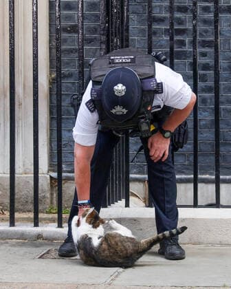 Entertainment Themen der Woche KW27 . 06 07 2022. London, United Kingdom. Boris Johnson PMQs. Police officer plays with Larry the Cat outside No10 Downing Street ahead of PMQs.  xMartynxWheatleyx xi-Imagesx IIM-23586-0004