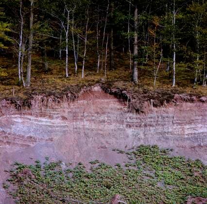 IMAGO Nature: Unsere Erde, Umweltprobleme, Bodenerosion Creative Highlights World Erdrutsch im Wald Erosion *** Landslide at Forest Erosion Copyright: imageBROKER/ErichxGeduldig ibxege06846283.jpg