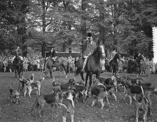 Anefo photo collection. St. Hubertus Jacht Leusderheide Amersfoort. November 5, 1955. Amersfoort Copyright: xpiemagsx pienatarchpart1270921-20738 !ACHTUNG AUFNAHMEDATUM GESCHÄTZT!
