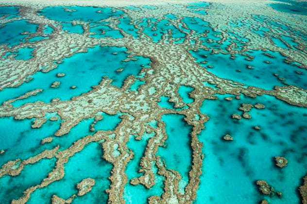 Luftaufnahme, Riffe und Atolle des Great Barrier Reef, Queensland, Australien, Ozeanien *** aerial view, Reefs and Atolls of Great Barrier reef, Queensland Australia, Oceania Copyright: imageBROKER IngoxSchulz iblisb08348326.jpg