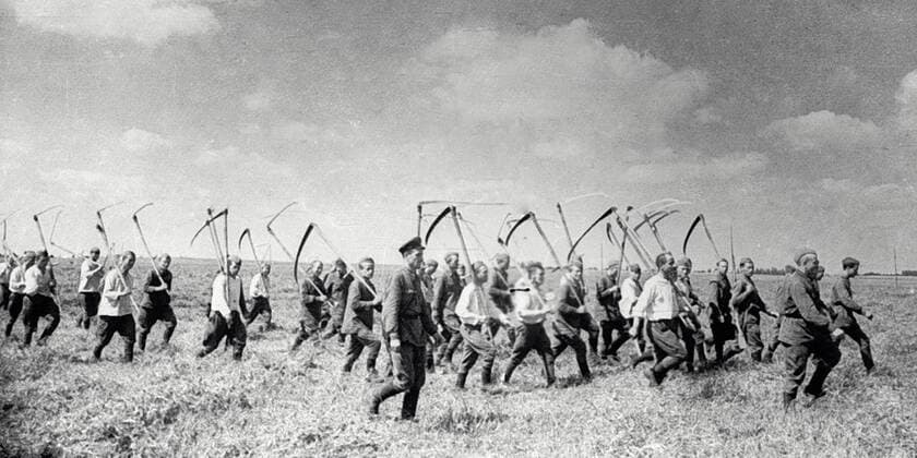 MILITARY MEN HARVESTING WWII 40444 01.08.1941 The Red Army soldiers and commanders set out for harvesting in the front-line area. Fedor Sputnik Russia  Copyright: xFedorx