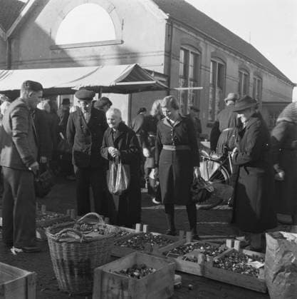 Anefo photo collection. Report Putten. World War II, markets. October 29, 1945. Gelderland, Putten Copyright: xpiemagsx pienatarchpart1270921-48924 !ACHTUNG AUFNAHMEDATUM GESCHÄTZT!