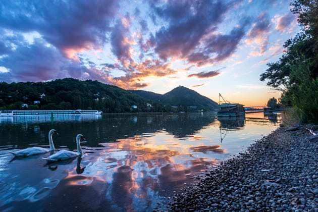 News Bilder des Tages sunset at river Donau (Danube), view to mountain Kahlenberg (left) and Leopoldsberg (with church), Daubel boat with lifting fishing net, cruise ship, mute swan (Cygnus olor) Wien, Vienna Wien Austria 19. Döbling