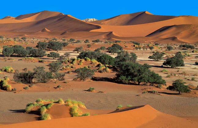 Sandduenes, Sossuvlei Namib Naukluft Park, Namibia, Africa 