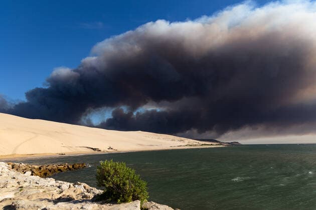 Creative Highlights World Violent Forest Fire In Gironde Since July 12, there has been a violent forest fire in Gironde near the Dune du Pilat, which had to be exceptionally closed, in the forest of Teste-de-buch. Teste-de-buch France  Copyright: xJeromexGillesx originalFilename: chobeaux-incendie220713_nppa9.jpg