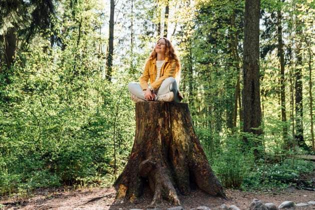 IMAGO Creative: Gesundheit, Stille Woman sitting cross-legged on tree stump in forest model released, Symbolfoto, VPIF06530