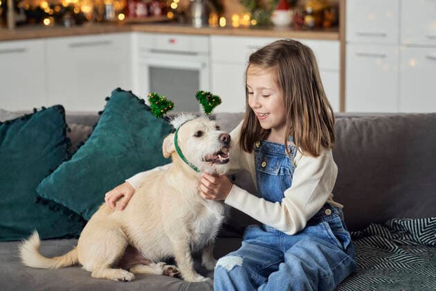 Happy girl with dog sitting on sofa at home model released, Symbolfoto property released, ABIF01738