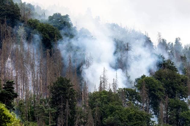 27.07.2022, Deutschland, Sachsen, Sächsische Schweiz: Blick auf die Rauchsäulen im Nationalpark Sächsische Schweiz in Schmilka Noch immer wüten Waldbrände im Nationalpark. Das Feuer war am Wochenende auf tschechischer Seite, in der Böhmischen Schweiz, ausgebrochen und griff dann auf den sächsischen Teil des Waldgebietes über. In der sächsischen Schweiz brannte eine Fläche von rund 250 Hektar, Mehr als 400 Retter versuchen, die Flammen einzudämmen Ð unter anderem aus der Luft. Für Bad Schandau und angrenzende Orte wurde Katastrophenalarm ausgerufen. Schwierige Windverhältnisse machen die Brandbekämpfung kompliziert. Rauch und Brandgeruch sind weithin sicht- und spürbar. Die Folgen des Feuers für die geschützte Natur in der Nationalparkzone