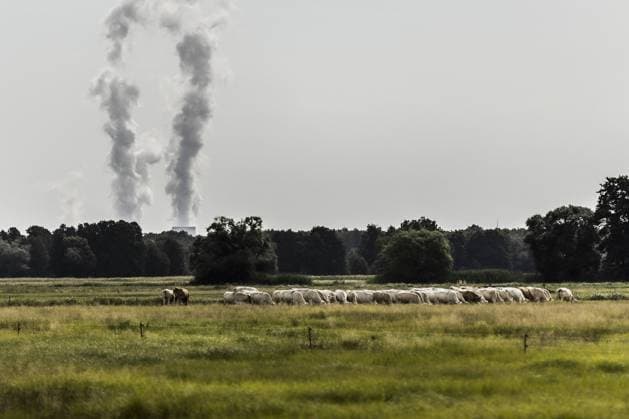 Das Kohlekraftwerk Jaenschwalde zeichnet sich ab hinter einer Kuhherde in Dissen-Striesow, 28.07.2022. Laut Fahrplan der Bundesregierung zum Kohleausstieg soll der letzte Block des Kraftwerks zum Ende des Jahres 2028 abgeschaltet werden. Neben Boxberg und Schwarze Pumpe ist Jaenschwalde eines von drei Kraftwerken in der Lausitz, deren wirtschaftliche Infrastruktur massgeblich von der Kohlefoerderung abhaenig ist. Dissen-Striesow Deutschland *** The Jaenschwalde coal-fired power plant stands out behind a herd of cows in Dissen Striesow, 28 07 2022 According to the German governments roadmap for phasing out coal, the last unit of the power plant is to be shut down by the end of 2028 Along with Boxberg and Schwarze Pumpe, Jaenschwalde is one Copyright: xFlorianxGaertner photothek.dex