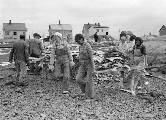 Poll photo collection. Iceland. Iceland. Women s freshly stroking fish on a berrie over a terrain where stickfish is drying. 1934. Iceland Copyright: xpiemagsx pienatarchpart630102021-18755 !ACHTUNG AUFNAHMEDATUM GESCHÄTZT!