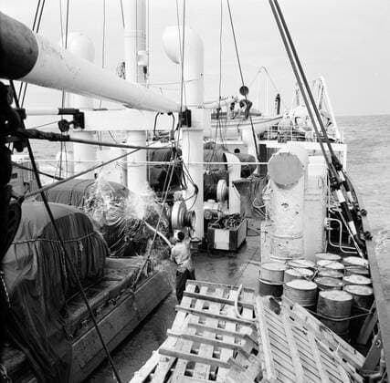 Poll photo collection. Netherlands Antilles and Suriname at the time of the royal visit of Queen Juliana and Prince Bernhard in 1955. The cargo of the MS. Nestor on the way to Suriname. October 1, 1955 Copyright: xpiemagsx pienatarchpart630102021-23028 !ACHTUNG AUFNAHMEDATUM GESCHÄTZT!