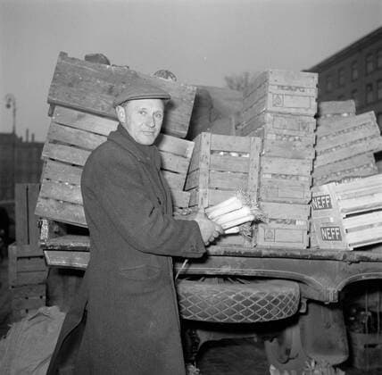 Poll photo collection. Dirchsen family at their farm Hollaendergaard. Mr. Dirchsen with leeks in hand with a truck with auction boxes filled with, among other things, onions. March 1954. Denmark, Store Magleby Copyright: xpiemagsx pienatarchpart630102021-27582 !ACHTUNG AUFNAHMEDATUM GESCHÄTZT!