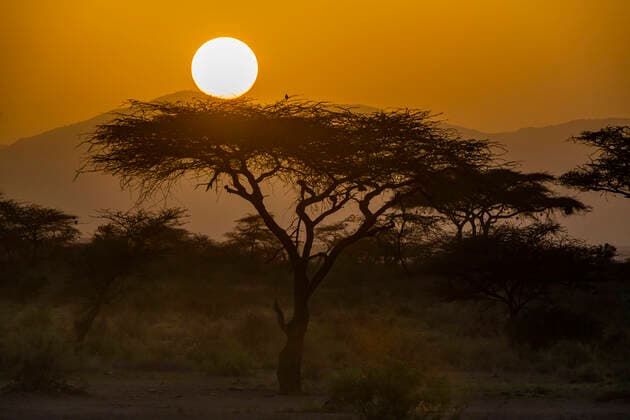 Creative Highlights World Sunset in Buffalo Springs National Reserve, Samburu National Park, Kenya, East Africa, Africa Copyright: MichaelxRunkel 1184-7096