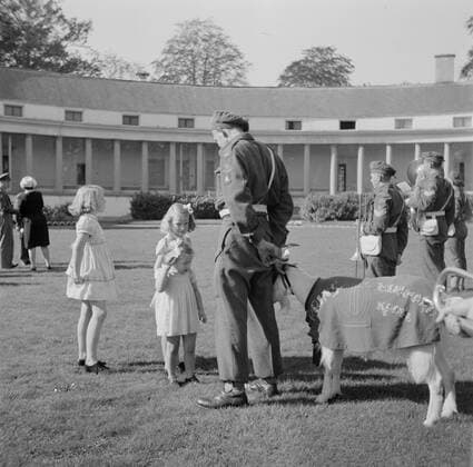 Poll photo collection. Farewell to the front garden of Palace Soestdijk of the Prince Bernhard Chapel with their mascot, the goat kees, due to departure to the Dutch East Indies. Royal house. September 28, 1946. Baarn, Utrecht (province) Copyright: xpiemagsx pienatarchpart630102021-40485 !ACHTUNG AUFNAHMEDATUM GESCHÄTZT!