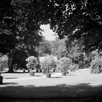 Poll photo collection. The royal family at Soestdijk Palace. Panorama of trees in the park of the palace. July 1947. Baarn, Utrecht (province) Copyright: xpiemagsx pienatarchpart72010201-16204 !ACHTUNG AUFNAHMEDATUM GESCHÄTZT!