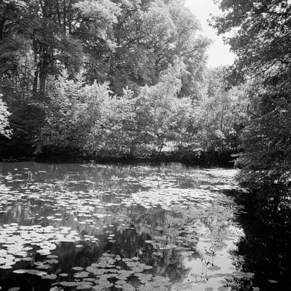 Poll photo collection. The royal family at Soestdijk Palace. Pond in the palace park. July 1947. Baarn, Utrecht (province) Copyright: xpiemagsx pienatarchpart72010201-16214 !ACHTUNG AUFNAHMEDATUM GESCHÄTZT!