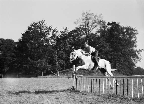Poll photo collection. Prince Bernhard as a jumping rider. Prince Bernhard jumps with his horse over an obstacle. undated Copyright: xpiemagsx pienatarchpart72010201-16308 !ACHTUNG AUFNAHMEDATUM GESCHÄTZT!