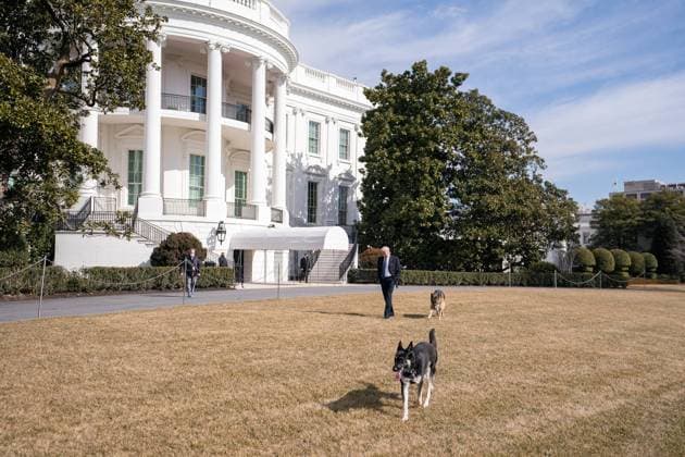 President Joe Biden walks with the Biden family dogs, Champ and Major Tuesday, Feb. 9, 2021, on the South Lawn of the White House. Copyright: xpiemagsx bidenpart2-13082021-19 !ACHTUNG AUFNAHMEDATUM GESCHÄTZT!