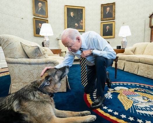 President Joe Biden pets the Biden family dog Champ in the Oval Office of the White House Wednesday, Feb. 24, 2021, prior to a bipartisan meeting with House and Senate members to discuss supply chains. Copyright: xpiemagsx bidenpart2-13082021-101 !ACHTUNG AUFNAHMEDATUM GESCHÄTZT!