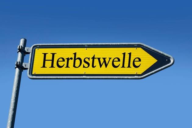 Wegweiser mit Herbstwelle Wegweiser mit Herbstwelle, 03.08.2022, Borkwalde, Brandenburg, In einem Wegweiser steht der Schriftzug Herbstwelle.