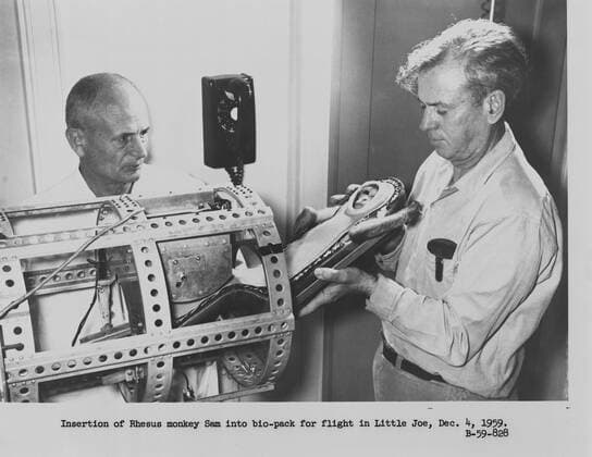 B59-00828 (21 Jan. 1959) --- The test subject, a rhesus monkey named Miss Sam, is seen encased in a model of the Mercury fiberglass contour couch. She is being placed in a container for the Little Joe 1B suborbital test flight of the Mercury Capsule. Copyright: xpiemagsx piemagsspace-40330 !ACHTUNG AUFNAHMEDATUM GESCHÄTZT!