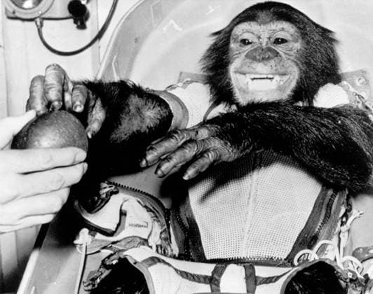 S63-18198 (31 Jan. 1961) --- Closeup view of the chimpanzee Ham , the live test subject for the Mercury-Redstone 2 (MR-2) test flight, following his successful recovery from the Atlantic. The 420-statute mile suborbital MR-2 flight by the 37-pound primate was a significant accomplishment on the American route toward manned spaceflight. Copyright: xpiemagsx piemagsspace-54556 !ACHTUNG AUFNAHMEDATUM GESCHÄTZT!