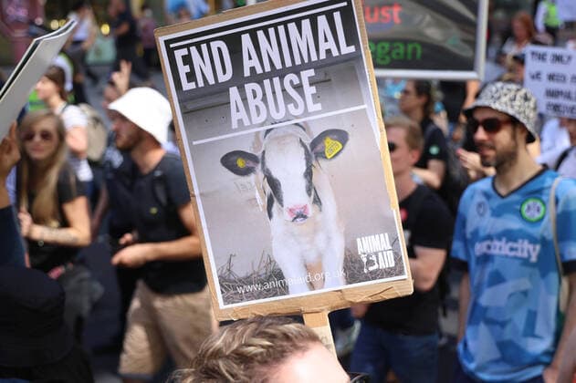 News Themen der Woche KW31 News Bilder des Tages . 06 08 2022. London, United Kingdom. Animal Rights March. Animal rights group Animal Rebellion stage protest march through London.  xMartynxWheatleyx xi-Imagesx IIM-23663-0031