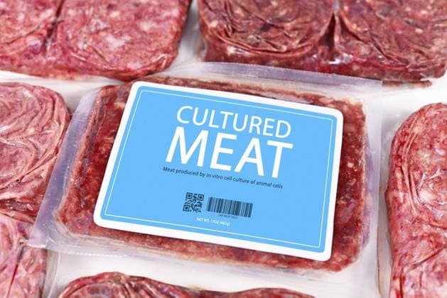  Konzept für im Labor gezüchtetes Fleisch für die künstliche Herstellung von Fleisch aus In vitro Zellkulturen mit verpacktem rohem Fleisch mit blauem Aufkleber *** Concept for at Laboratory bred Meat for the artificial Production from Meat from in Vitro Cell cultures with packaged raw Meat with blue Sticker Copyright: imageBROKER/Firn ibxmob08413733.jpg ,model released, Symbolfoto ,property released