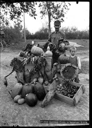 Vegetable harvest in Veneto Photographer: Kriegsvermessung 5. Copyright: xpiemagsx ausnl080421-1277 !ACHTUNG AUFNAHMEDATUM GESCHÄTZT!
