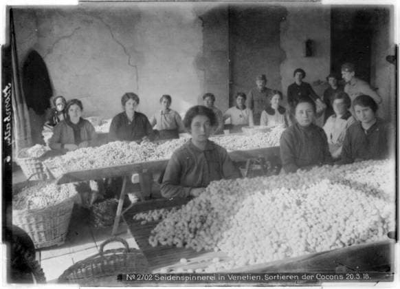 Silk mill in Veneto Sorting the cocoons; photographer: Kriegsvermessung 5. Copyright: xpiemagsx ausnl080421-1302 !ACHTUNG AUFNAHMEDATUM GESCHÄTZT!