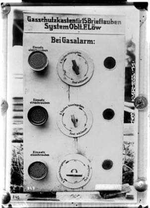 Gas protection box for carrier pigeons in Trento Trentino; photographer: Kriegsvermessung 11. Copyright: xpiemagsx ausnl080421-2028 !ACHTUNG AUFNAHMEDATUM GESCHÄTZT!