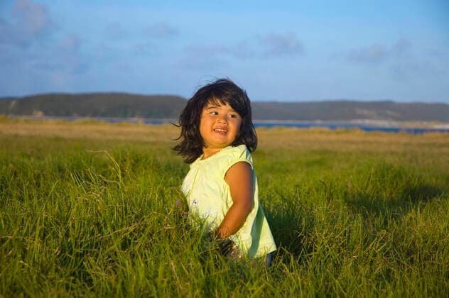 Creative Highlights Symbolbilder Happy cute little girl on the summer meadow in the evening  Copyright: IrinaxYun 30301764