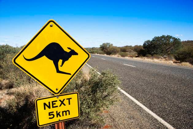Kangaroo crossing sign by road in rural Australia.  Copyright: RonxChapplexStock 30303314