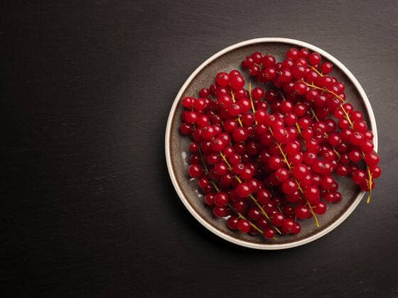 Organic red currant on a ceramic plate on a dark slate background, view from above, healthy food concept