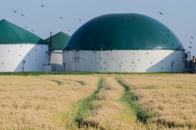 Germany, Biogas plant GERMANY, farm with Biogas plant, wheat field *** DEUTSCHLAND, Schleswig-Holstein, Reußenkoog, Biogasanlage und Acker mit Weizen Bredstedt Schleswig-Holstein Germany